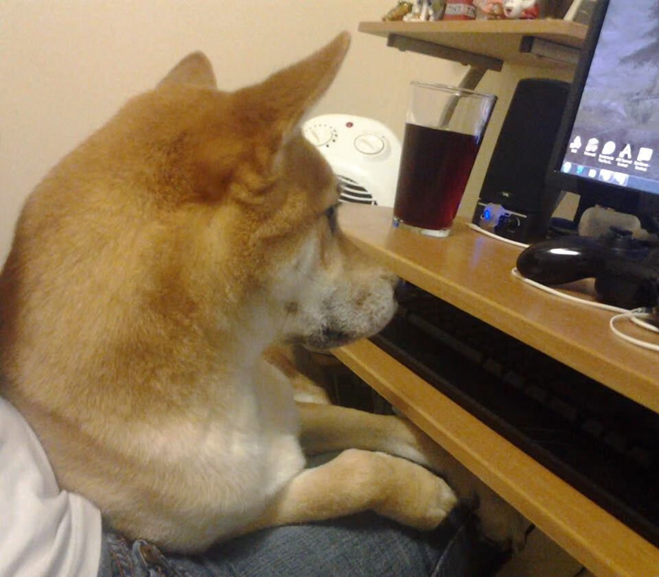 “美洲狮队展现顶级球员风采,未来前景无限”