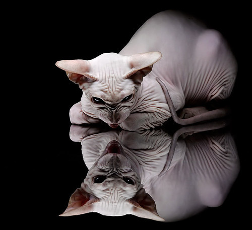 乐鱼体育官网网址-基层足球俱乐部融资渠道有限，足球俱乐部经营