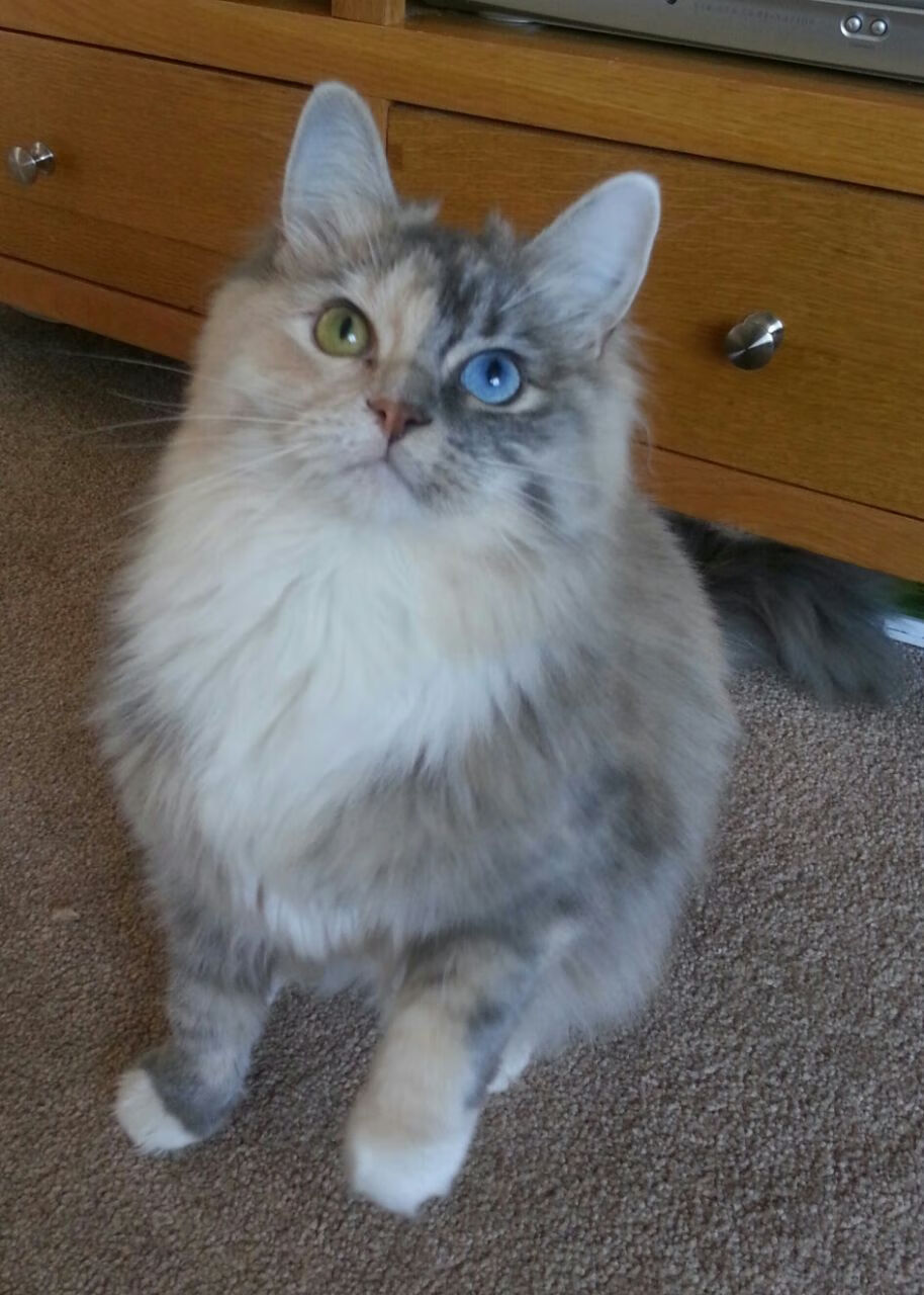 乐鱼体育app在线登录-控卫如何在逆境中组织反击，控卫如何在逆境中组织反击战